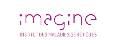 INSTITUT IMAGINE